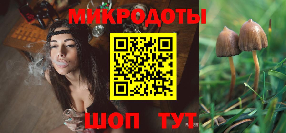 Псилоцибиновые грибы Cubensis Богданович