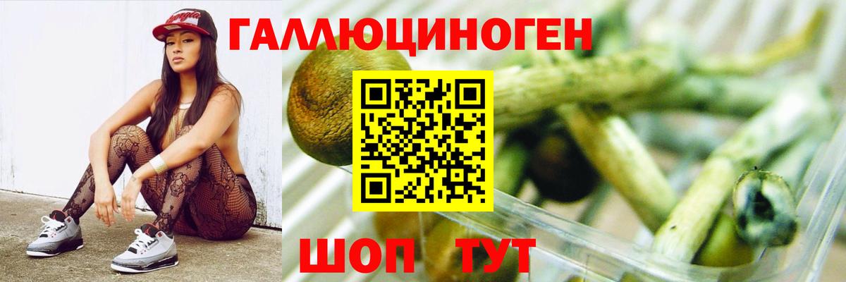 Галлюциногенные грибы Magic Shrooms  Вход с VPN  Богданович 